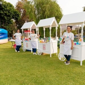 carrito-de-dulces-donuts-y-churros-brinko-peru
