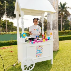 carrito-mini-hamburguesa-y-hot-dogs-brinko-lima